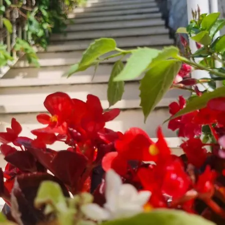 Apartamento Lea Bayview