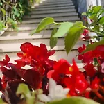 Apartman Lea Bayview